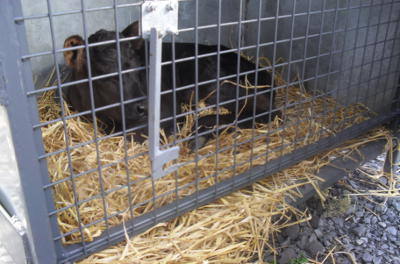 Feeling a lot Better!!