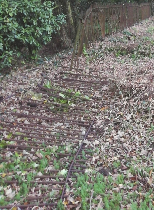 and is lying on the ground