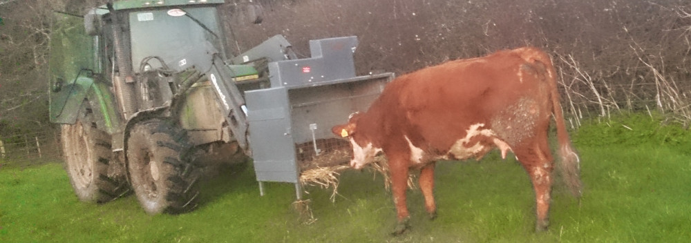 Rathleash Shutters: Bespoke Solutions for Farm and Home